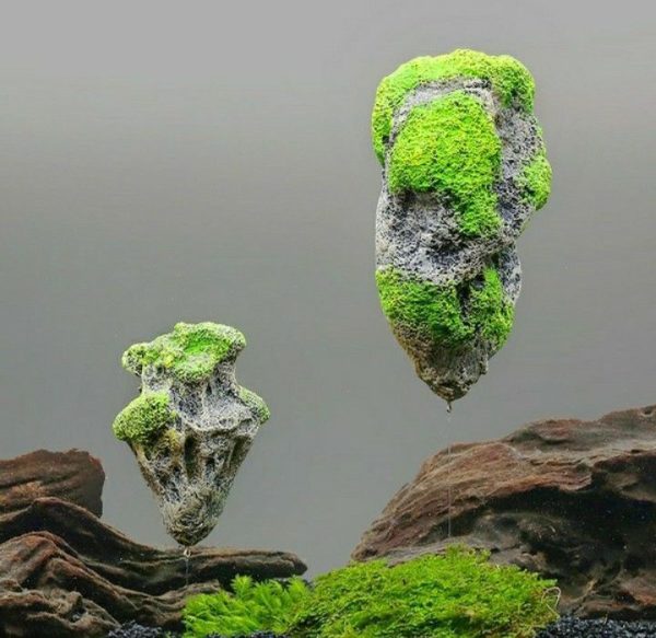 FLOATING ROCK
