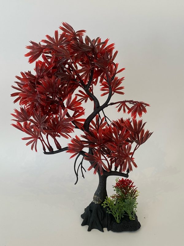 AQUARIUM PLANT