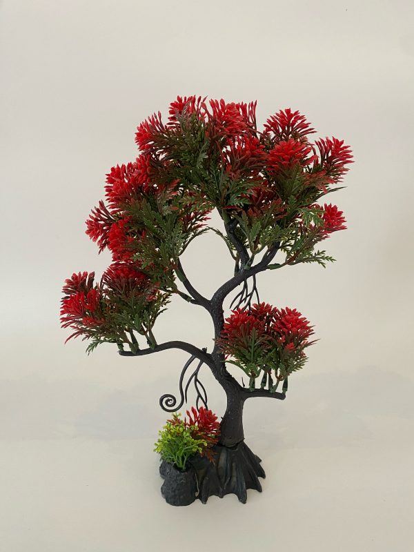 AQUARIUM PLANT