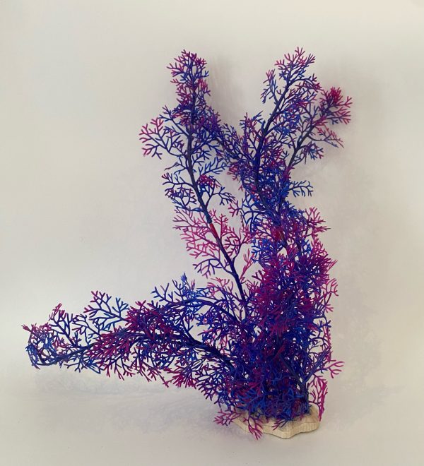 AQUARIUM PLANT